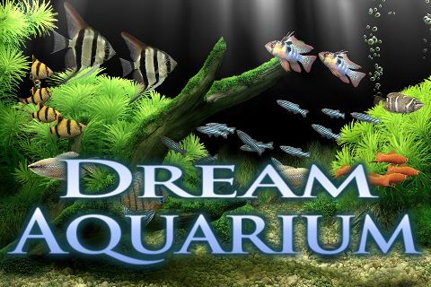 dream aquarium cracked
